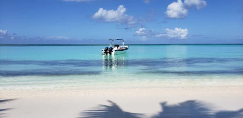 Saona Island Tour From Santo Domingo with Lunch and Pickup - Final Thoughts: Is This Tour Right for You?