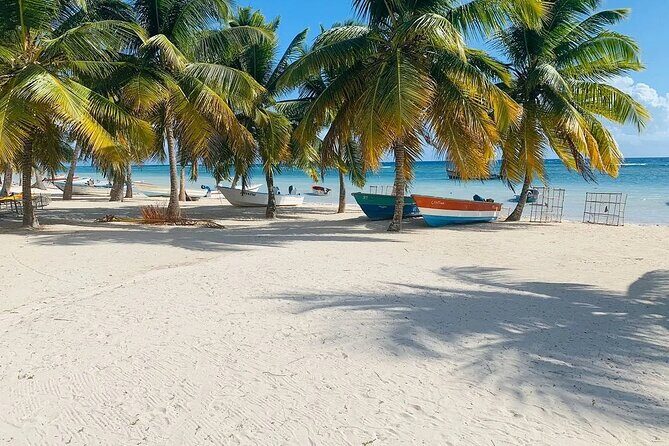 Saona Island Tour From Santo Domingo with Lunch, Open Bar, Pickup - Who Would Love This Tour?
