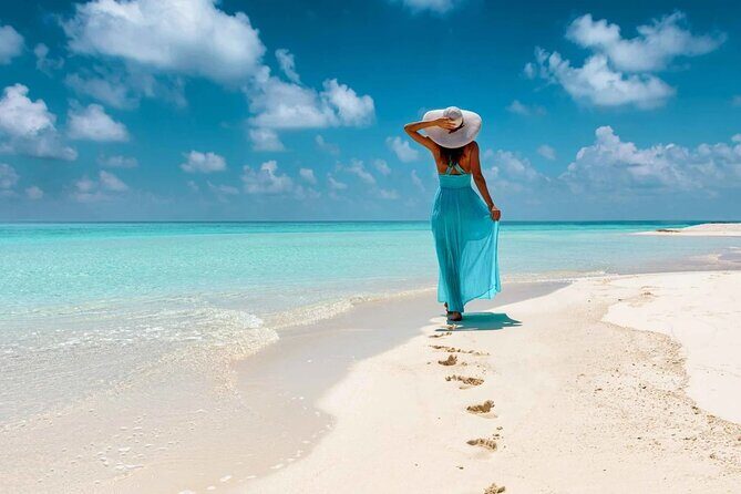 Saona Island Tour From Santo Domingo with Lunch, Open Bar, Pickup - The Sum Up: Is It Worth It?