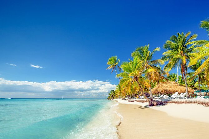 Saona Island Tour with Lunch and Pickup - Key Points