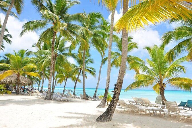 Saona Island VIP Experience Private Boat for Up to 20 People - An Overview of the Private Saona Island Experience