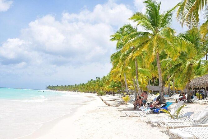 Saona Island VIP Experience Private Boat for Up to 20 People - What Travelers Say: The Good and the Not-So-Good