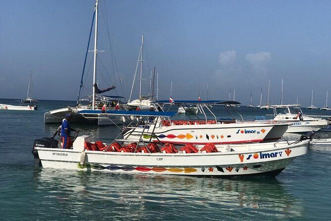 Saona Island VIP Experience Private Boat for Up to 20 People - Is This Tour Worth It?
