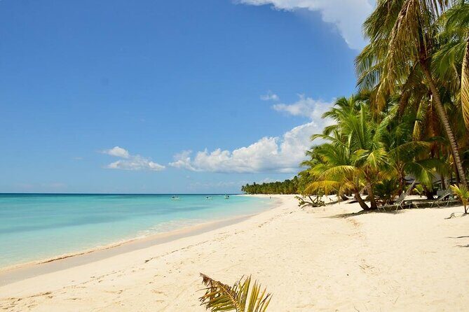 Saona Island VIP Experience Private Boat for Up to 20 People - Who Should Consider This Experience?