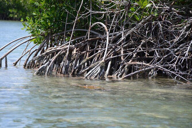 Saona, Mano Juan, Canto de la playa away from the tourist crowds - Why the Tour Offers Great Value