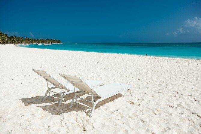 Saona Private Full-Day Tour from Punta Cana - Introduction: A Private Day on Saona Island