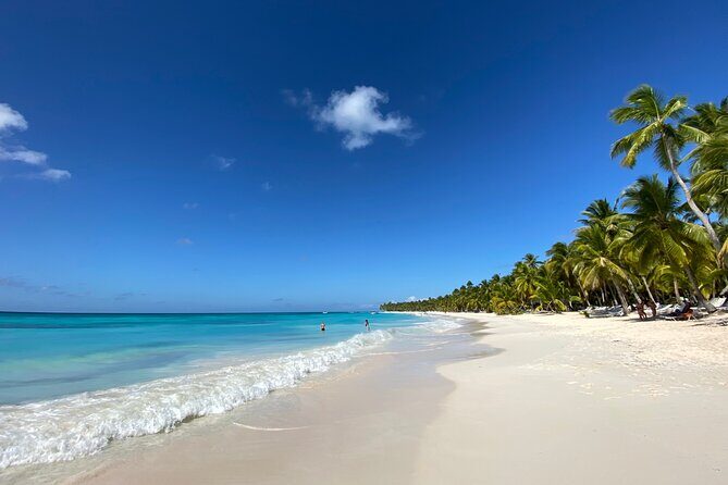 Saona Private Full-Day Tour from Punta Cana - Authenticity and Highlights from Reviews