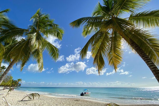 Saona Private Full-Day Tour from Punta Cana - The Sum Up: A Solid Choice for a Memorable Caribbean Day