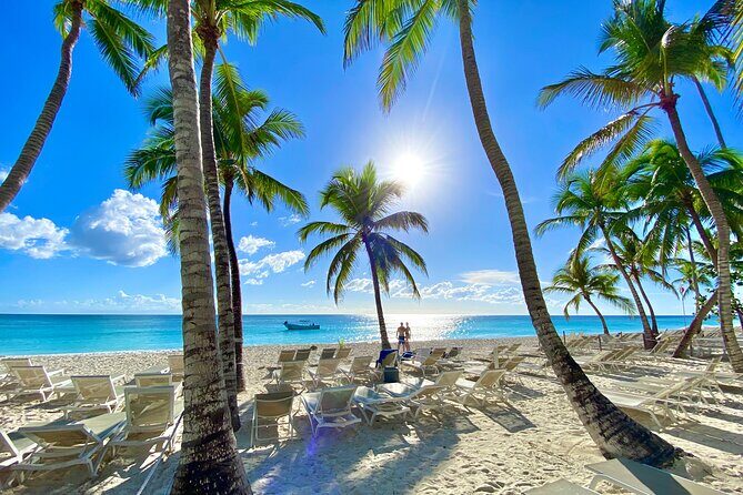 Saona Private Tour with Own Guide and Transport from Punta Cana - An In-Depth Look at the Experience