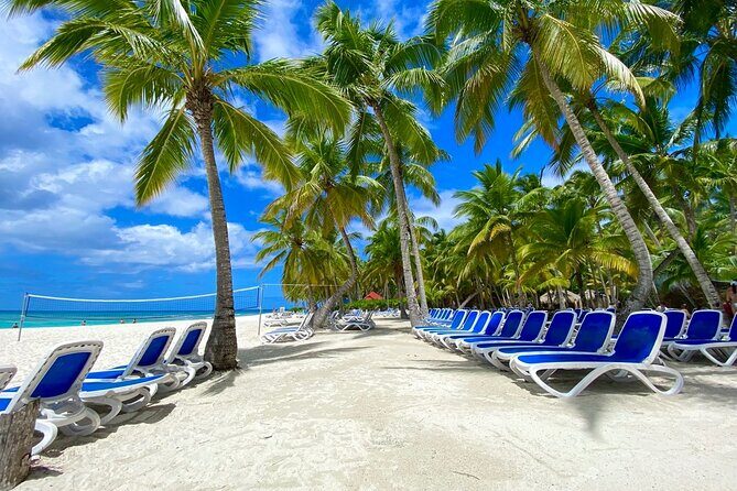 Saona Private Tour with Own Guide and Transport from Punta Cana - Who Should Consider This Tour?