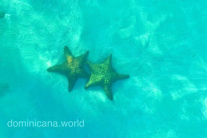 Saona Private Tour with Own Guide and Transport from Punta Cana - Frequently Asked Questions