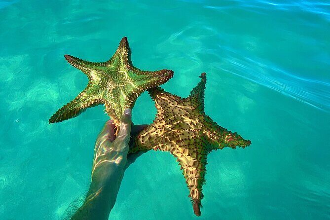 Saona Private Tour with Own Guide and Transport from Punta Cana - Final Thoughts