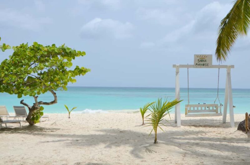 Saona Special Tour: 4 Beaches with Canto from Punta Cana - Who Will Enjoy This Tour?