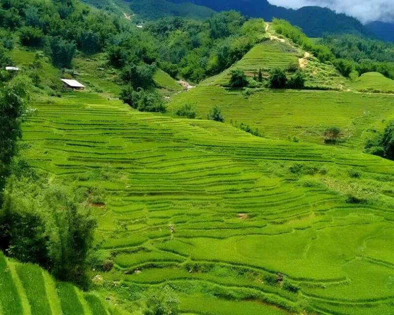Sapa 1 Day Long Trek: Trek to Hau Thao and Sa Seng Villages - The Sum Up: Who Will Love This Trek?