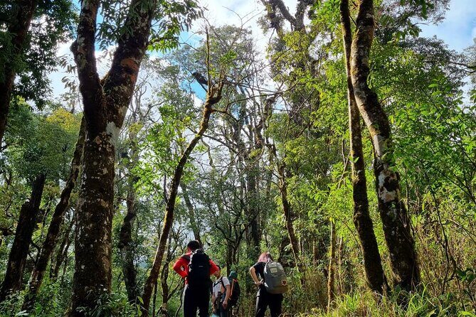 Sapa 1 day trek with local guide to the village by Comlam - A Deep Dive into the Sapa Trekking Experience