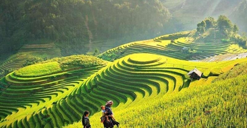 Sapa 1-Day trekking to Lao Chai-Ta van village - Detailed Review of the Sapa 1-Day Trek