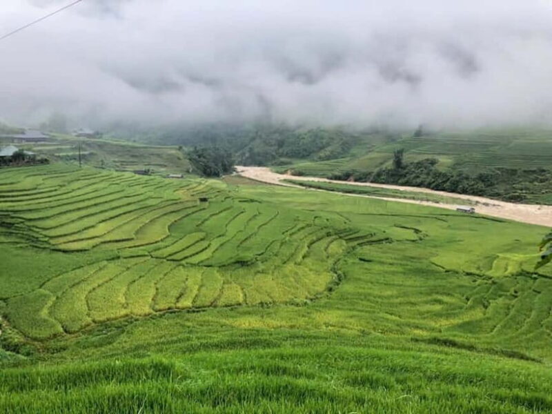 Sapa 2-Day Adventure: Trekking Lao Chai, Ta Van & Fansipan - Who Will Love This Tour?