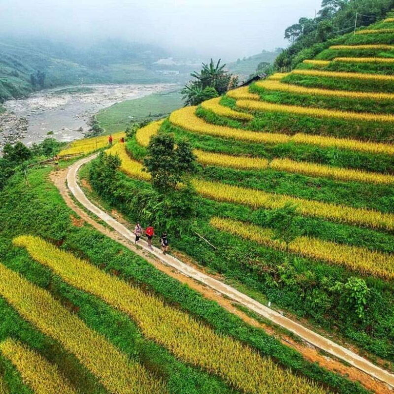 Sapa: 2-Day Local Guided Valley Trek with Night Homestay - An Honest Look at the 2-Day Sapa Trek