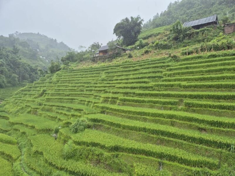 SAPA 2 Day trekking & 1 night Homestay with LOCAL PEOPLE - Summing It Up