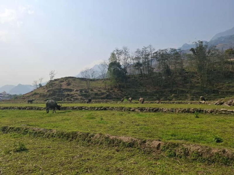 Sapa: 2 day trekking experience - What Makes This Tour Stand Out