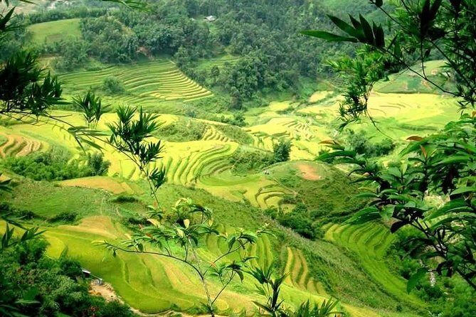 Sapa 2 Days 1 Night From Hanoi - Overnight in Ta Van Homestay - What Travelers Say and Why They Love It