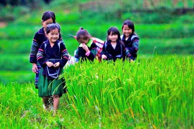 Sapa 2 Days 1 Night Overnight at Homestay Ta Van Village - Key Points