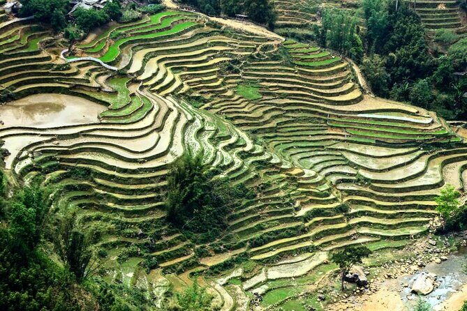 Sapa 2 Days Trek with 1 Night Homestay - Authenticity and Reviews