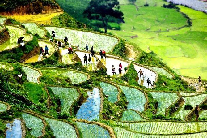 Sapa 2D1N All Included (Bus & Homestay) - Transportation and Group Dynamics: What It Means for You