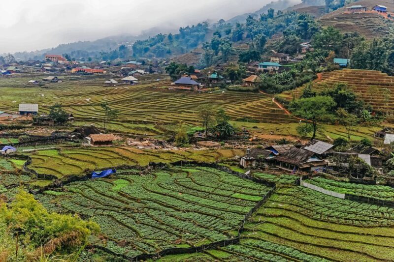 Sapa: 3-Day, 3-Night Trek and Hotel with Overnight Train - Key Points