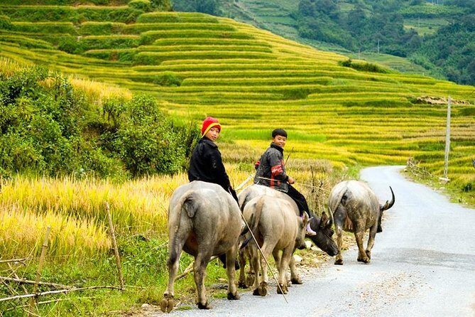 Sapa 3 Days 2 Nights Trekking Tour (1 Night In Ta Van Village, 1 Night In Hotel) - Key Points