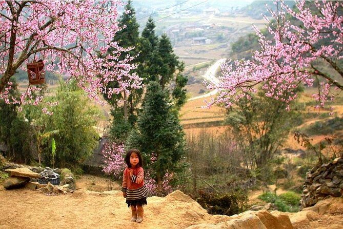 Sapa 3 Days 2 Nights Trekking Tour (1 Night In Ta Van Village, 1 Night In Hotel) - Day 3: Exploring Giang Ta Chai and Returning to Sapa