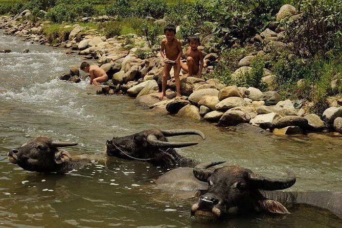 Sapa 3 Days 2 Nights Trekking Tour (1 Night In Ta Van Village, 1 Night In Hotel) - Who Should Consider This Tour?