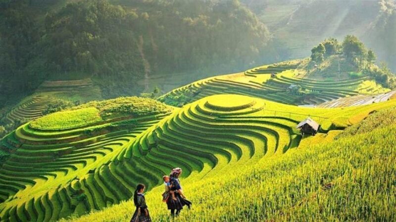 Sapa 3 Days 2 Nights Trekking Tour - The Itinerary: What to Expect from This Trekking Tour