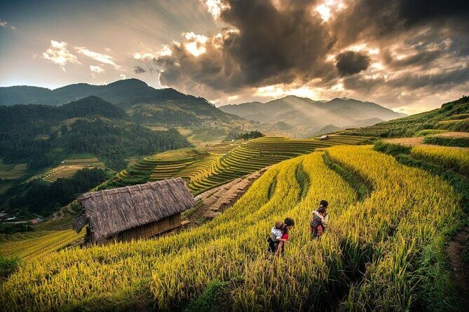 Sapa 3D2N Homestay and Hotel Experience by Limousine Bus - Introduction