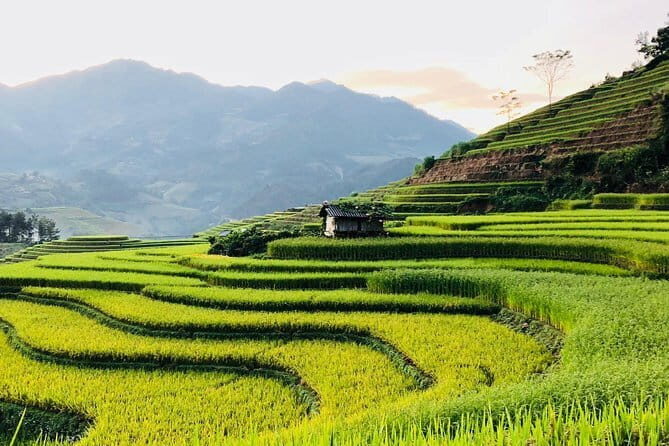 Sapa Adventure Motorbike Tour With Local Guide - FAQs