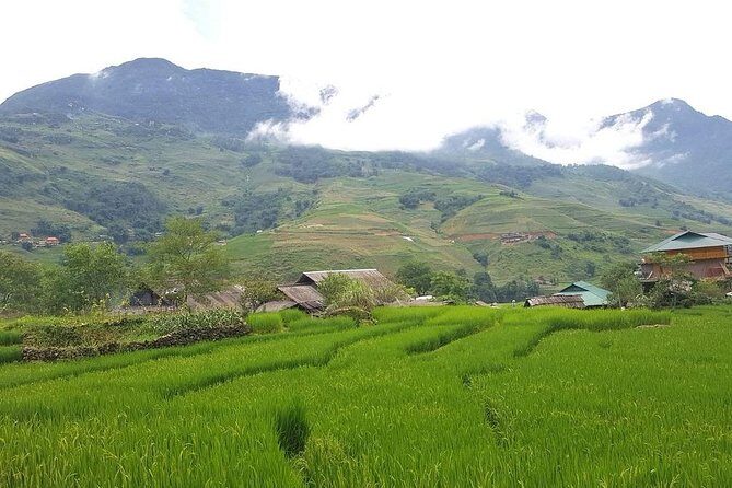 Sapa Amazing 1 Day Trip: Muong Hoa Valleys & Authentic Villages - FAQ