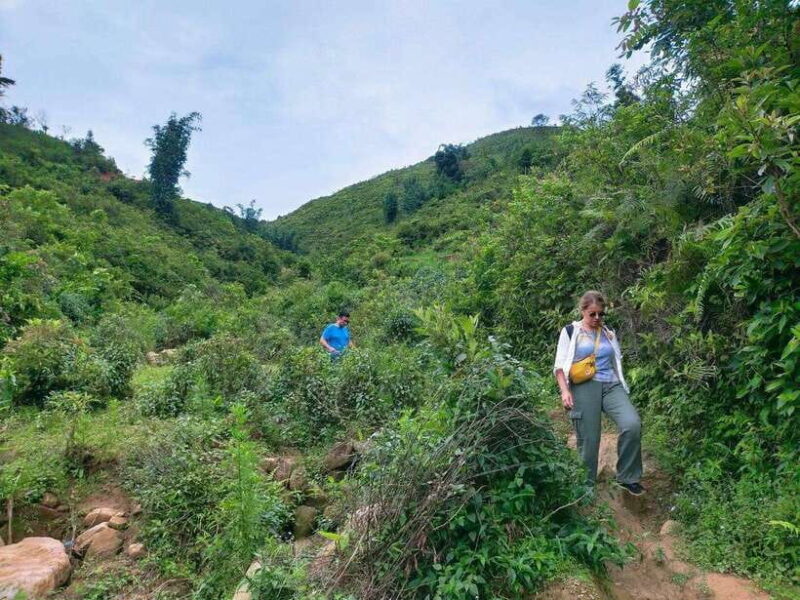 Sapa: Amazing Suoi Ho, Ma Tra Villages Private Day Trip - An In-Depth Look at the Sapa Private Day Trip