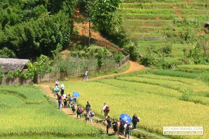Sapa - Bac Ha Trek Tour - Night Train & Bus & Homestay overnight - What Makes This Tour Stand Out