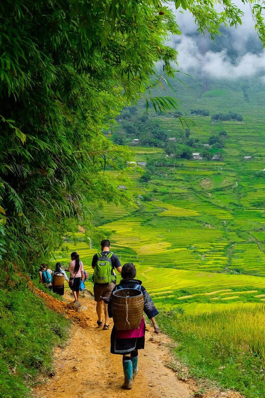 Sapa beautiful rice field, village - Easy walking kid,senior - Exploring Sapa’s Beautiful Rice Fields and Ethnic Villages: An Easy, Authentic Tour