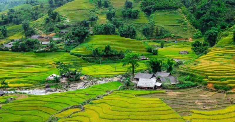 Sapa beautiful rice field, village - Easy walking kid,senior - What to Expect at Each Stop