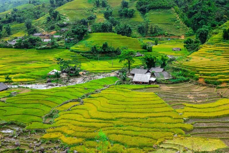 Sapa beautiful rice field, village - Easy walking kid,senior - What Past Travelers Say
