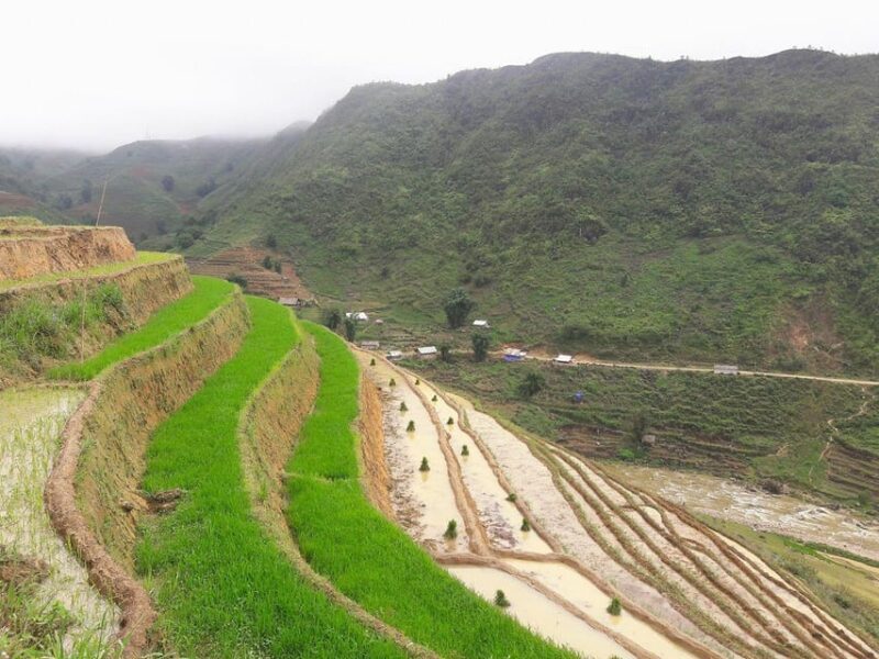 Sapa beautiful rice field, village - Easy walking kid,senior - Final Thoughts: Who Will Love This Tour?