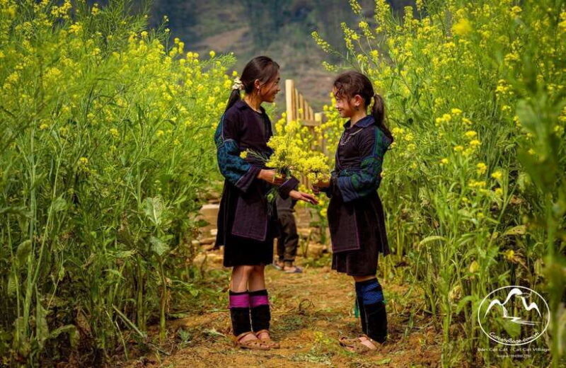 Sapa Cat Cat Village And Y Linh Ho Private Trekking Tour - Key Points