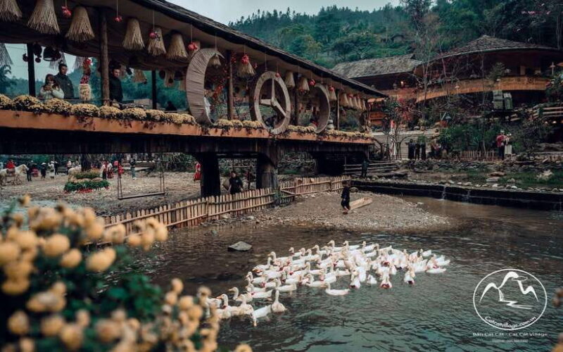 Sapa Cat Cat Village And Y Linh Ho Private Trekking Tour - Exploring Sapa’s Scenic Treasures
