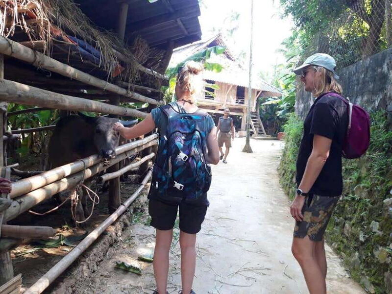 Sapa Cat Cat Village And Y Linh Ho Private Trekking Tour - Frequently Asked Questions