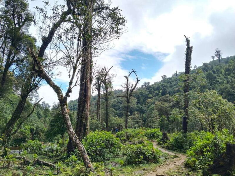 SAPA : Climb up to Fansipan mountain with LOCAL GUIDE - Exploring Fansipan with a Local Guide: A Deep Dive into an Unforgettable Mountain Climb