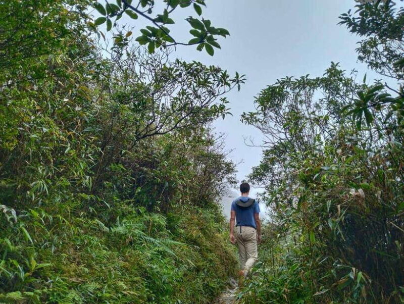 SAPA : Climb up to Fansipan mountain with LOCAL GUIDE - The Itinerary: An Hour-by-Hour Breakdown