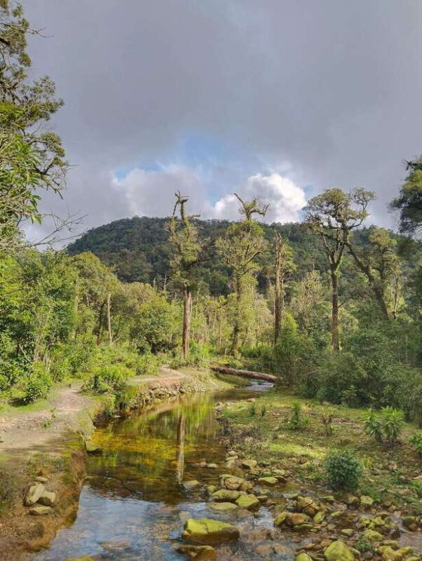 SAPA : Climb up to Fansipan mountain with LOCAL GUIDE - The Reviews: Voices from the Trail