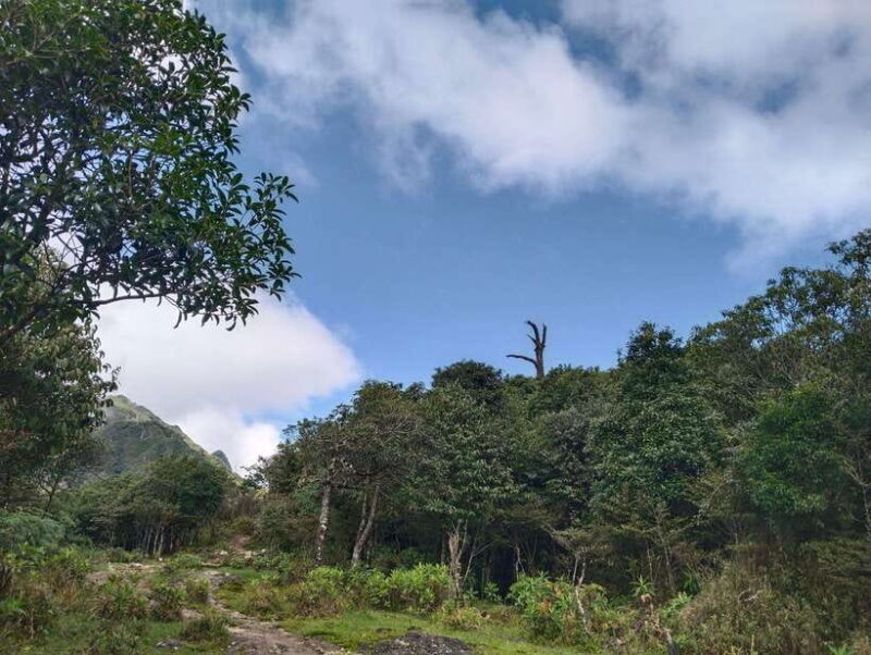 SAPA : Climb up to Fansipan mountain with LOCAL GUIDE - Practical Tips for Future Climbers