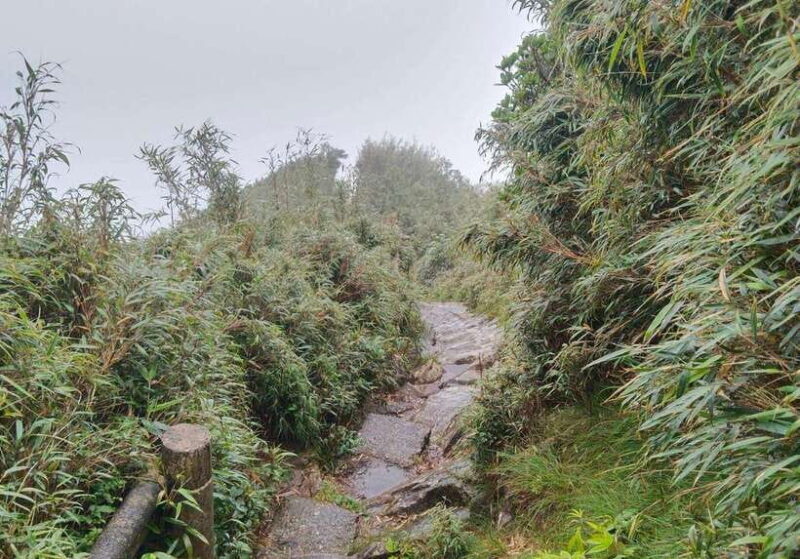 SAPA : Climb up to Fansipan mountain with LOCAL GUIDE - Final Thoughts: Is This Tour Right for You?